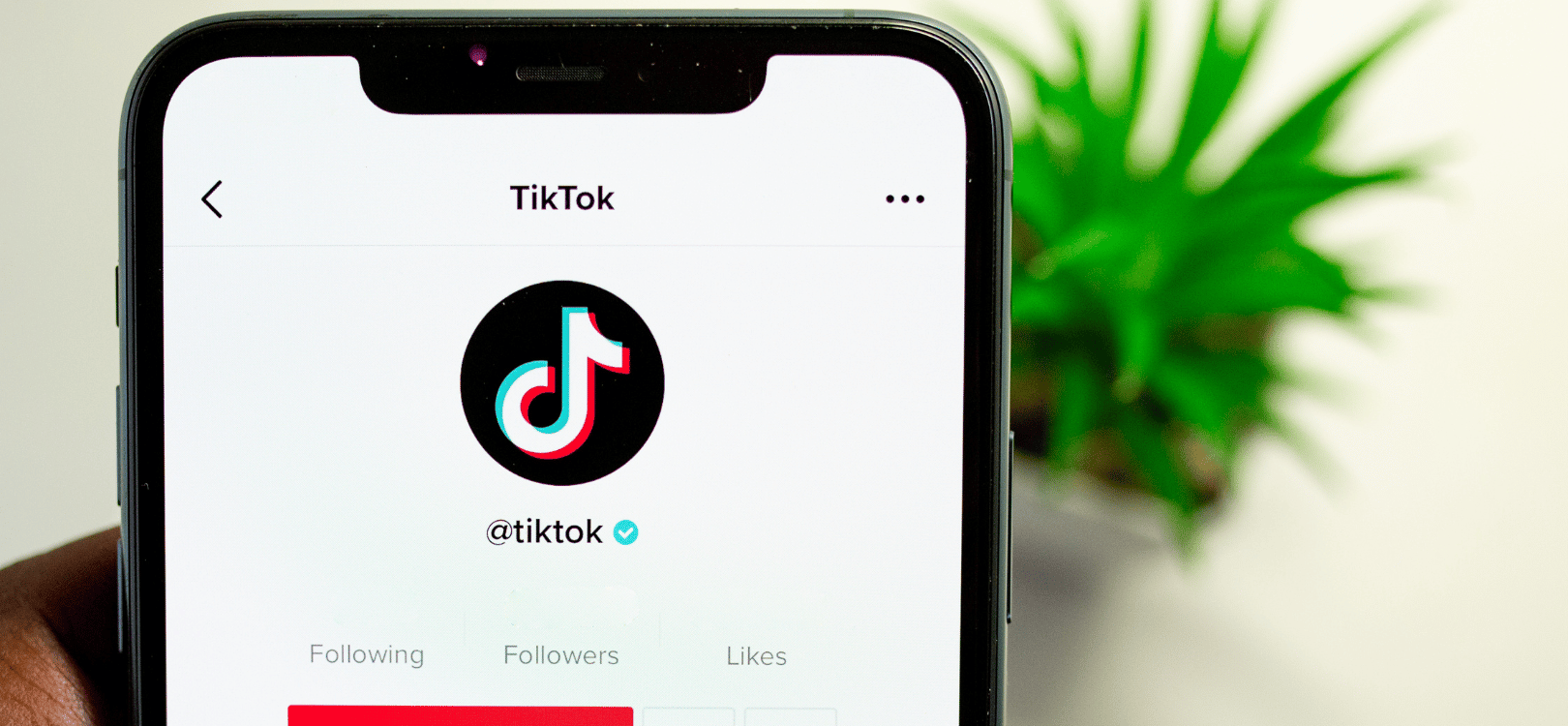 À partir de combien d'abonnés TikTok paye À partir de combien d'abonnés TikTok paye